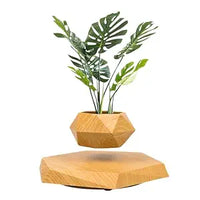 Gravity-Defying Wooden Planter Levitates and Rotating Pot Perfect Unique Gift