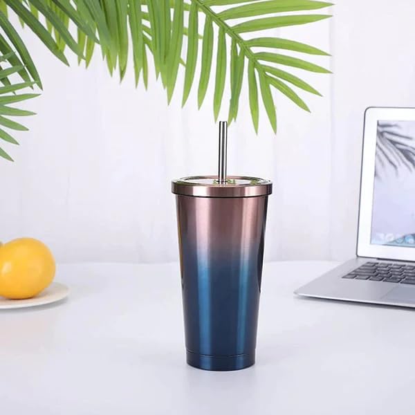 Double Wall Vacuum Insulated Tumbler with Steel Straw and Lid