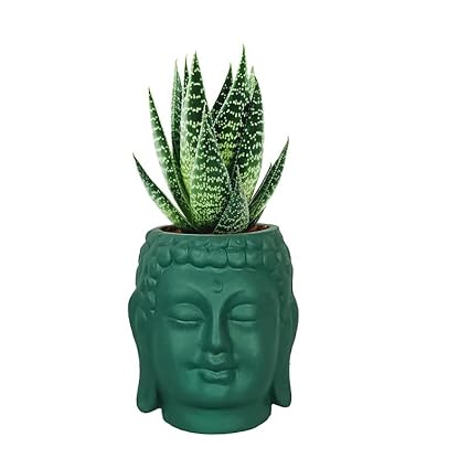 Small Buddha 3.5" Ceramic Pots for Indoor Planters, Flower Pots, Succulent