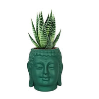 Small Buddha 3.5" Ceramic Pots for Indoor Planters, Flower Pots, Succulent