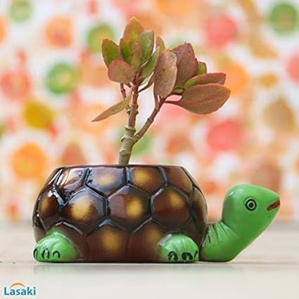 Tortoise Planter  for Indoor Planters, Flower Pot and Succulent Pot