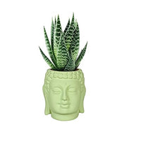 Small Buddha 3.5" Ceramic Pots for Indoor Planters, Flower Pots, Succulent