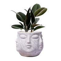 Face White Ceramic Pots for Indoor Plants, Planters Succulent (H - 10 X D - 10 cm)