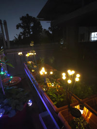 Solar Starburst Garden Lights (Pack of 2) – Waterproof Outdoor Swaying Lights for Patio, Lawn, Balcony & Party Decor