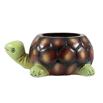 Tortoise Planter  for Indoor Planters, Flower Pot and Succulent Pot