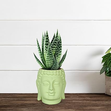 Small Buddha 3.5" Ceramic Pots for Indoor Planters, Flower Pots, Succulent