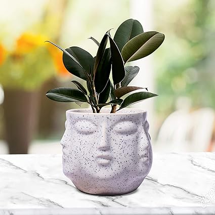 Face White Ceramic Pots for Indoor Plants, Planters Succulent (H - 10 X D - 10 cm)