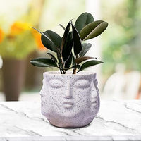 Face White Ceramic Pots for Indoor Plants, Planters Succulent (H - 10 X D - 10 cm)