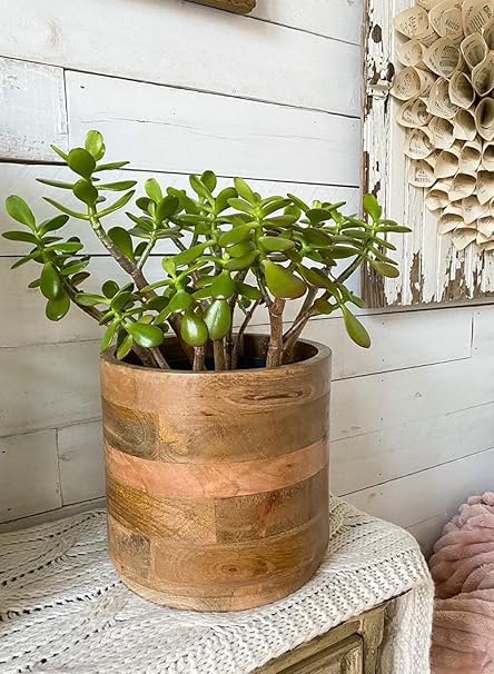 Large Mango Wood Cachepot for Plants