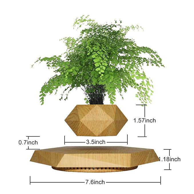 Gravity-Defying Wooden Planter Levitates and Rotating Pot Perfect Unique Gift