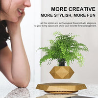 Gravity-Defying Wooden Planter Levitates and Rotating Pot Perfect Unique Gift