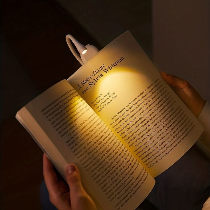 Reading Light Book Lamp for Bed, Book Reading Lover Gifts for Women Men, Clip on LED Book Light Rechargeable USB Portable 3 Color Temperatures Stepless Dimming Light . - Kalesh Monk