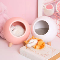 Cute Kitten House Decorative Night Light