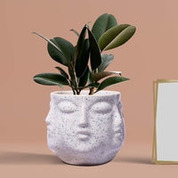 Face White Ceramic Pots for Indoor Plants, Planters Succulent (H - 10 X D - 10 cm)