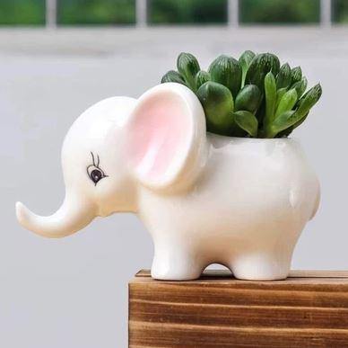 White Baby Elephant Ceramic Pot