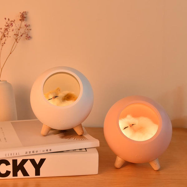 Cute Kitten House Decorative Night Light